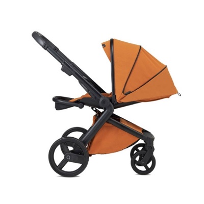 Коляска ANEX l/type 2в1 (lt-14t) ginger