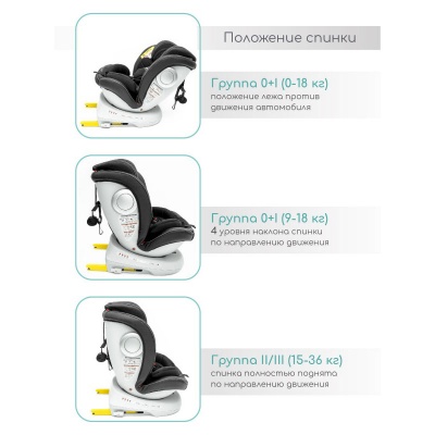 Автокресло Amarobaby Champion Isofix 0+/1/2/3 (черный)